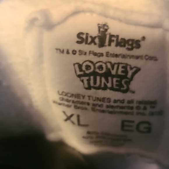 Disney:Tweety Bird from Six Flags . (#1575) Oversized Hoodie. 2 Pocket sz.XL - Picture 5 of 14